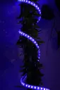 088A2193.webp